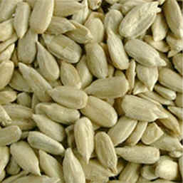 whole sunflower Kernels