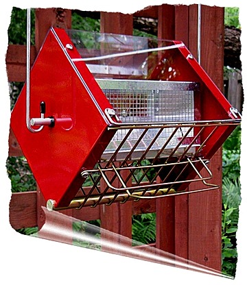 RollerFeeder Rf2-Cardinal-Red-Gold squirrel proof bird feeder