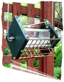 RollerFeeder squirrel proof bird feeder, green.  click for more information