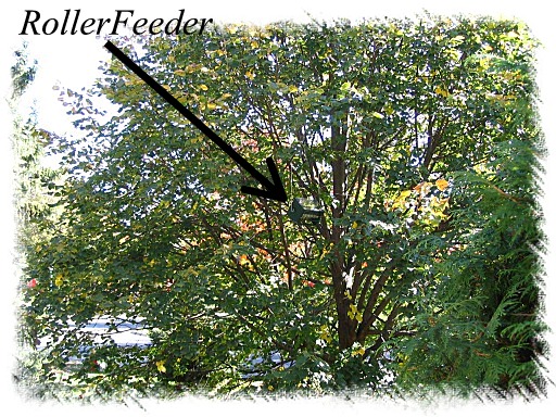 Wide angle view of rollerfeeder gs in tree test site